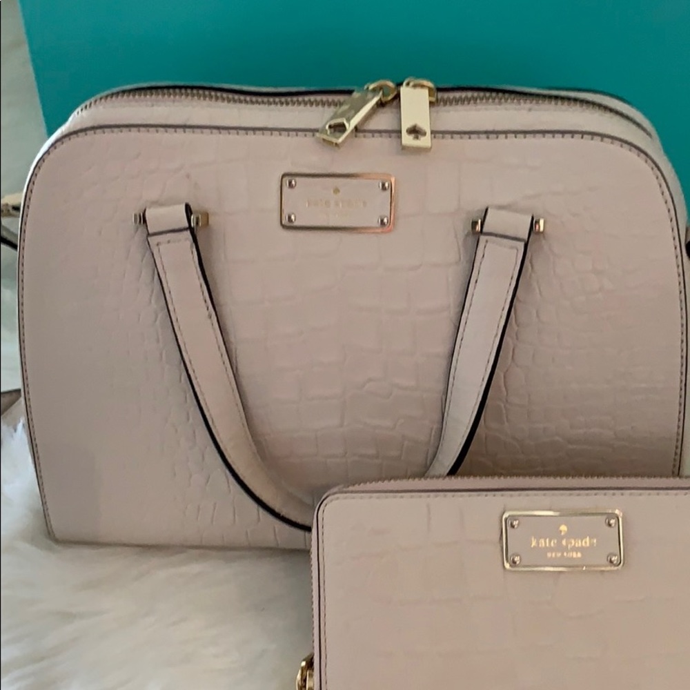 Kate spade bag and wallet